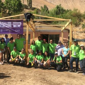 Trabajos de Verano Santo Tomás PAIHUANO 2019